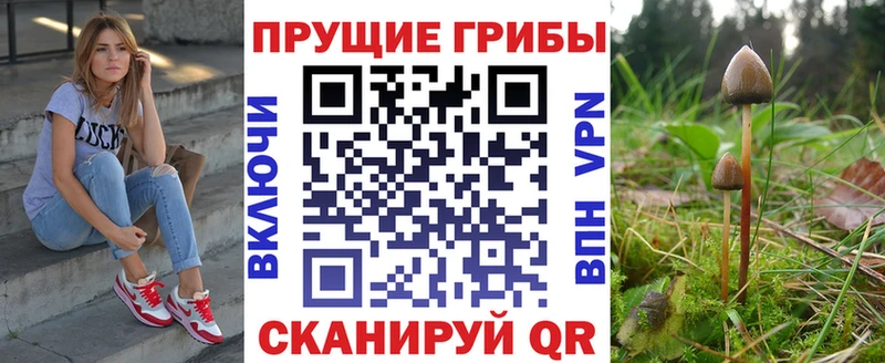 Псилоцибиновые грибы GOLDEN TEACHER что такое hydra рабочий сайт Никольское